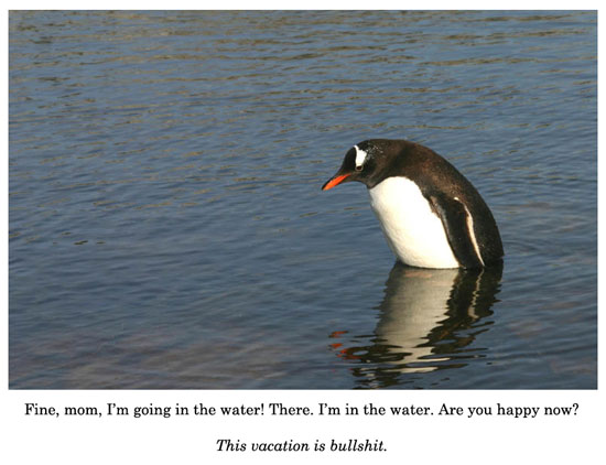 going in the water