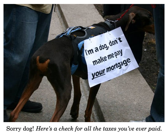 dog taxes