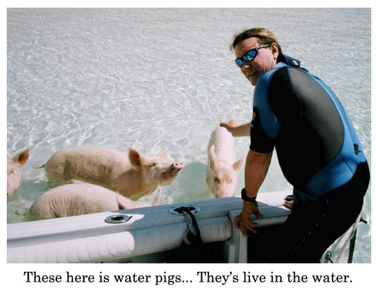 water pigs