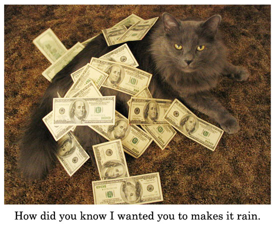 makes it rain