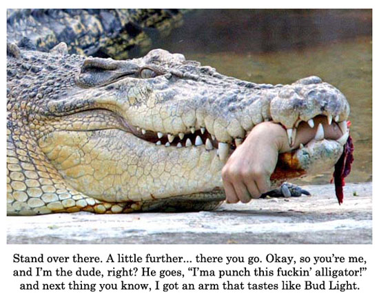 crocodile punching