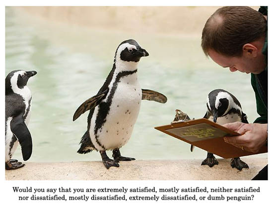 penguin opinion